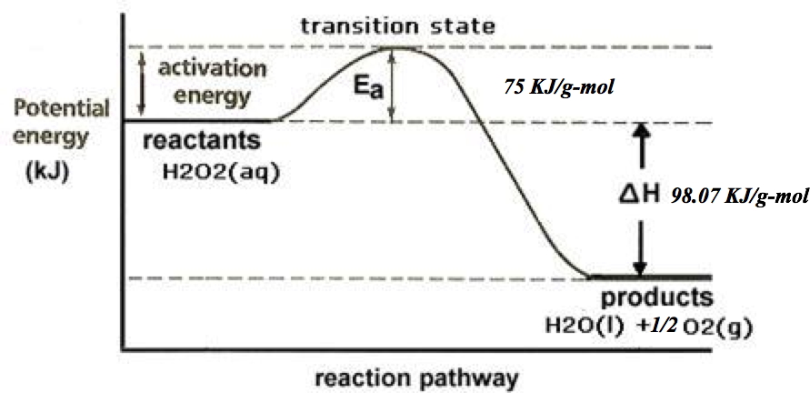 catalase reaction with hydrogen peroxide